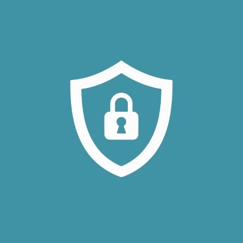 Secure Icon